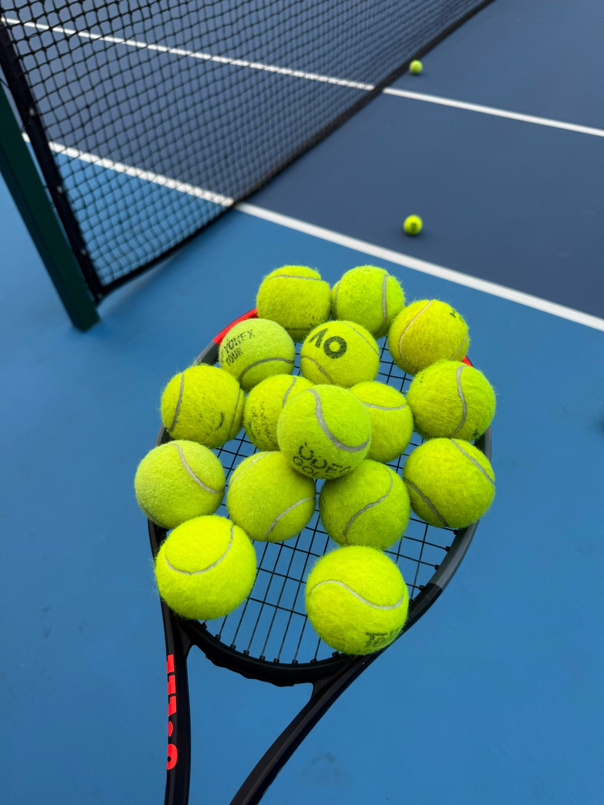 内拥有了巨 内拥有了巨