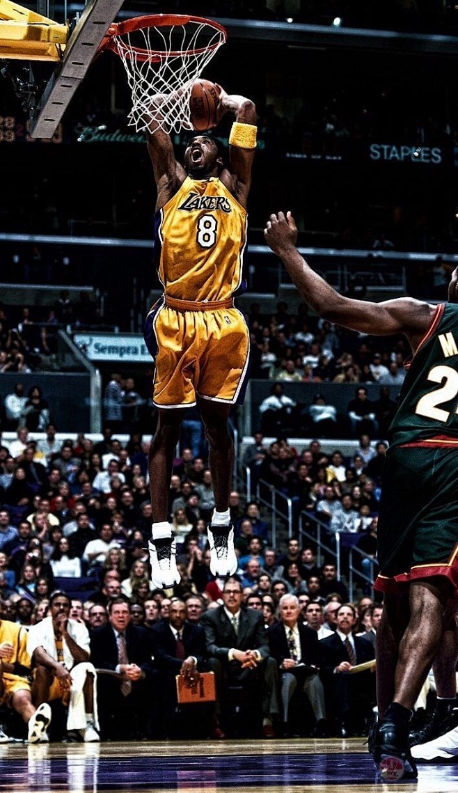 在这些变量 在这些变量