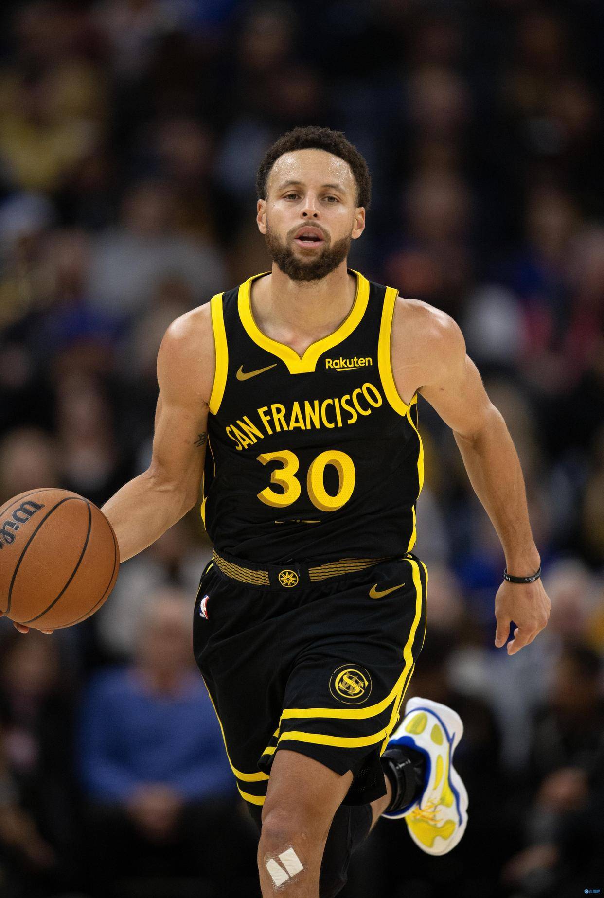 中期定型 中期定型